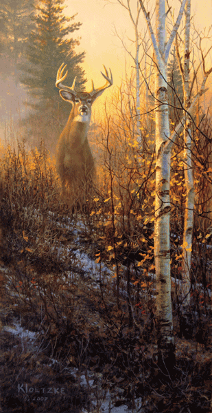 Don Kloetzke Art at Thunder Mountain Press :: Wildlife art magazines ...